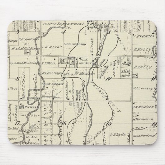 T19S R21E Tulare County Section Map Muismat (Voorkant)