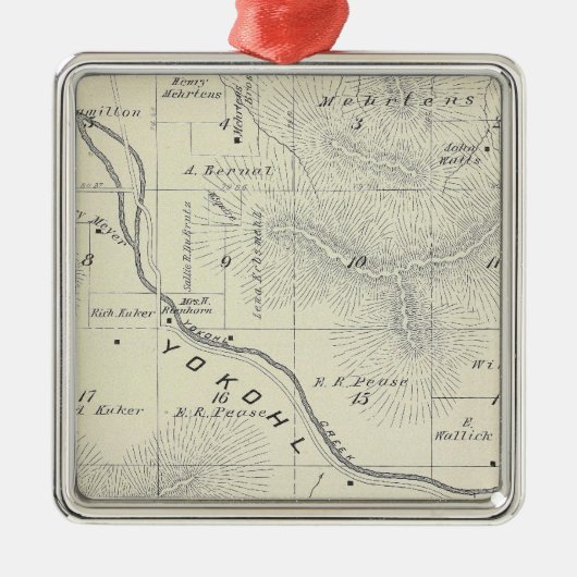 T19S R27E Tulare County Section Map Metalen Ornament (Voorkant)