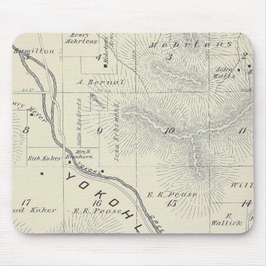 T19S R27E Tulare County Section Map Muismat (Voorkant)