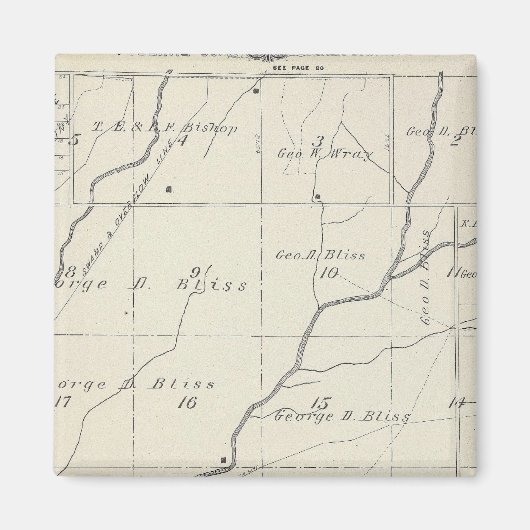 T20S R25E Tulare County Section Map Magneet (Voorkant)