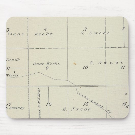 T21S R22E Tulare County Section Map Muismat (Voorkant)