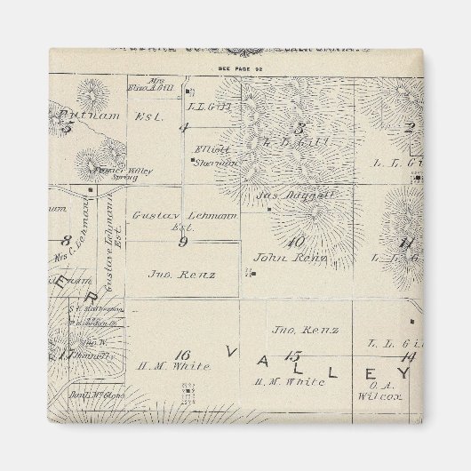 T21S R28E Tulare County Section Map Magneet (Voorkant)