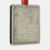 T21S R28E Tulare County Section Map Metalen Ornament (Rechts)