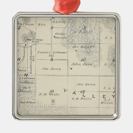 T21S R28E Tulare County Section Map Metalen Ornament (Voorkant)