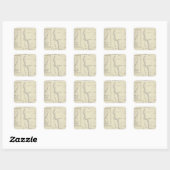 T22S R22E Tulare County Section Map Vierkante Sticker (Vel)