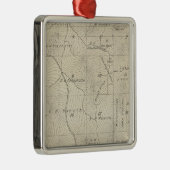 T23S R29E Tulare County Section Map Metalen Ornament (Rechts)