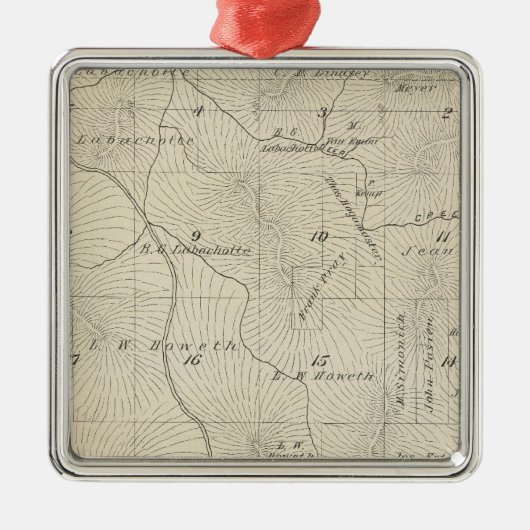 T23S R29E Tulare County Section Map Metalen Ornament (Voorkant)