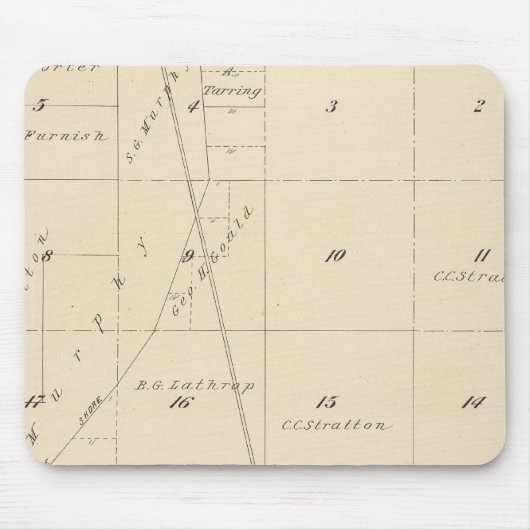 T24S R24E Tulare County Section Map Muismat (Voorkant)