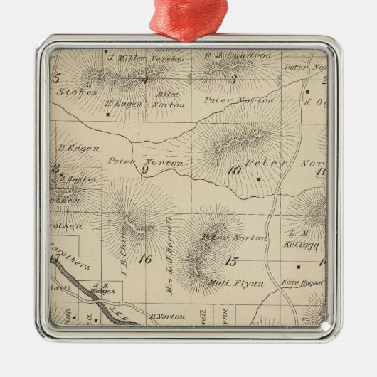 T24S R28E Tulare County Section Map Metalen Ornament (Voorkant)