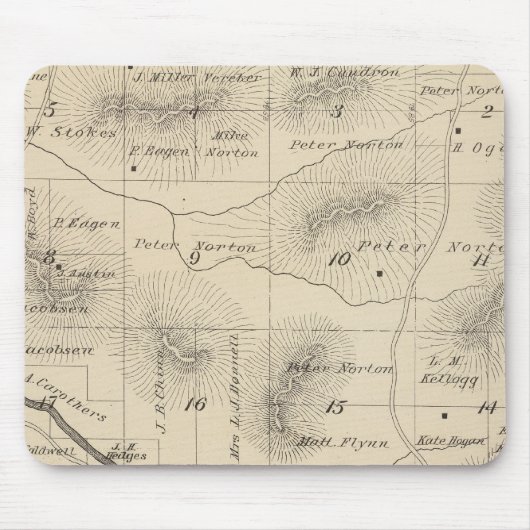 T24S R28E Tulare County Section Map Muismat (Voorkant)