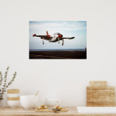 T2 Buckeye Poster (Keuken)