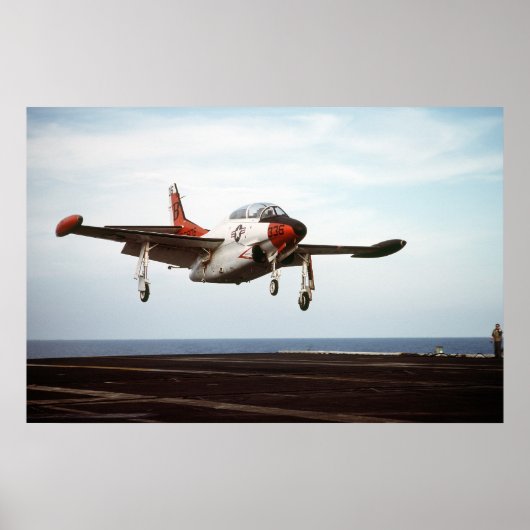 T2 Buckeye Poster (Voorkant)