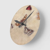 T31566 Een onderzoek naar diverse insecten, fruit  Ronde Klok (Hoek)