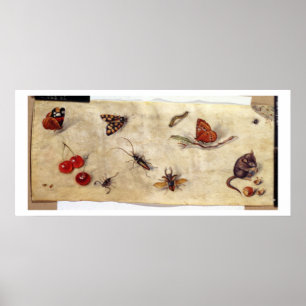 T31567 Een onderzoek naar diverse insecten, fruit  Poster