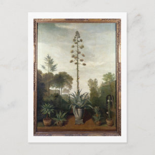 T33047 A Botanische tuin Briefkaart