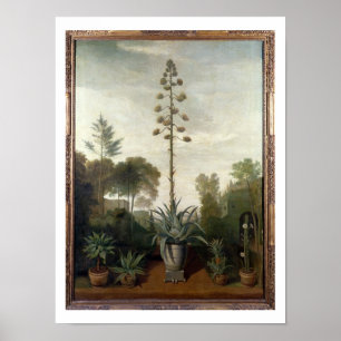 T33047 A Botanische tuin Poster