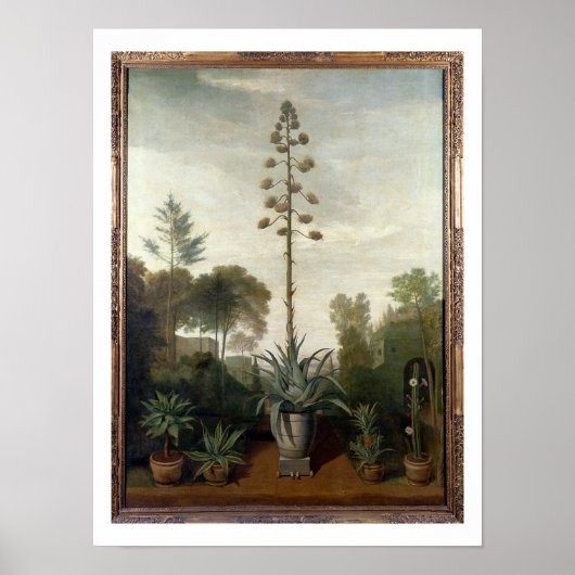 T33047 A Botanische tuin Poster (Voorkant)