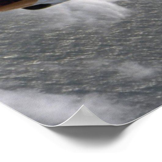 T-2 Buckeyes Poster (Hoek)