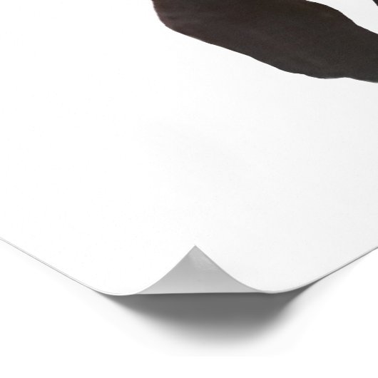 T 2e herx. poster (Hoek)