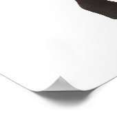 T 2e herx. poster (Hoek)