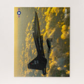 T-38C TALON (16x20 inch) Legpuzzel (Verticaal)