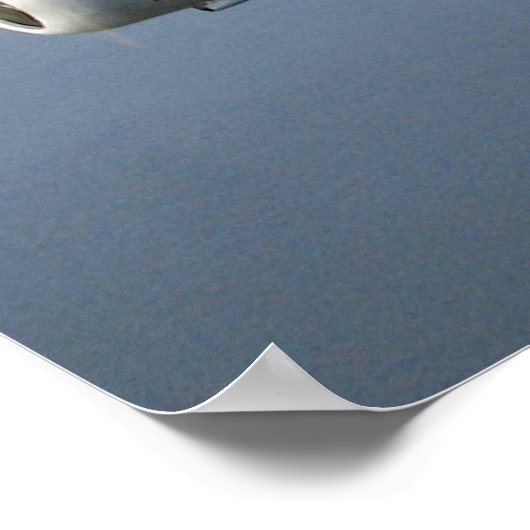 T-6 Texaan Poster (Hoek)