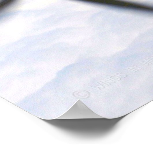 T-6A TEXAN II POSTER (Hoek)