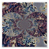 T. Nova Foto Afdruk (Voorkant)