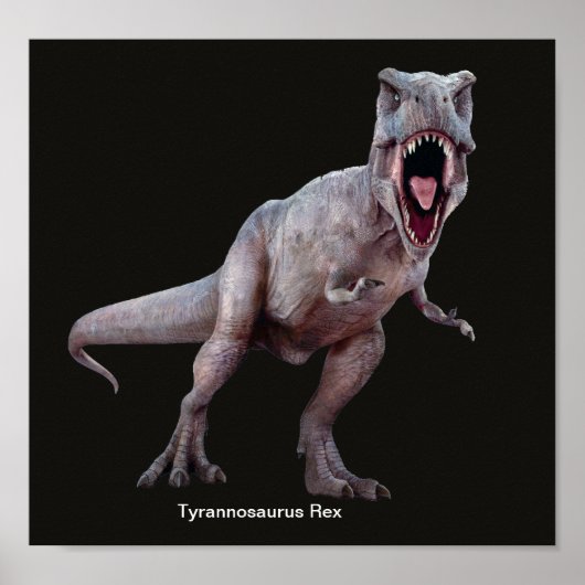T-Rex-afbeelding voor Poster (Voorkant)