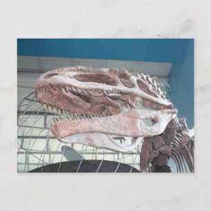 T-Rex Briefkaart
