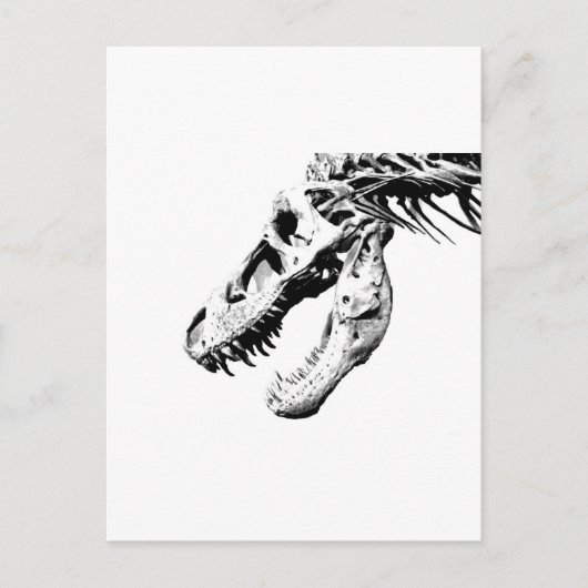 t-rex briefkaart (Voorkant)