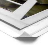 T-Rex Dinosaur-Afbeelding-foutvenster Poster (Hoek)