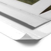 T-Rex Dinosaur Afbeelding Uitzicht Fake Window Poster (Hoek)