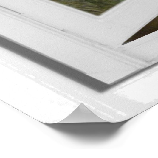 T-Rex Dinosaur Afbeelding Uitzicht Fake Window Poster (Hoek)