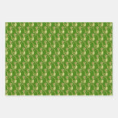 T-Rex Dinosaur Design Wrapping Paper Sheets (Voorkant)