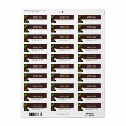 T Rex Dinosaur Party Children's Birthday Etiket (Full Sheet)