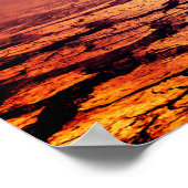 T-rex Dinosaur Poster (Hoek)