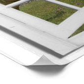 T-Rex Dinosaurs Faux Uitzicht Poster (Hoek)