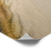 T-Rex Dinosuar Poster (Hoek)