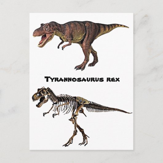 T-rex Flesh-n-Bone, Briefkaart (Voorkant)