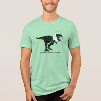 T Rex Kegel van Schande    Jennifer ellen Cook Tri-Blend Shirt