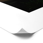 T. rex-model poster (Hoek)