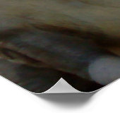 T-Rex-Poster Poster (Hoek)