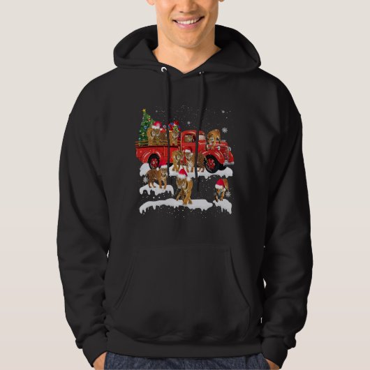 T-rex Riding Rode Vrachtwagen Kerstboom Believe Sa Hoodie (Voorkant)