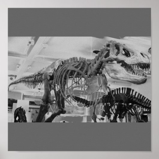 T-Rex Skeleton B+W Poster (Voorkant)