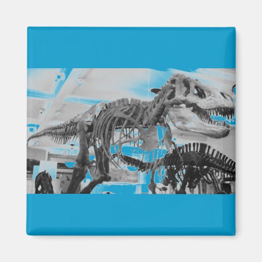 T-Rex Skeletpotlood Magneet (Voorkant)