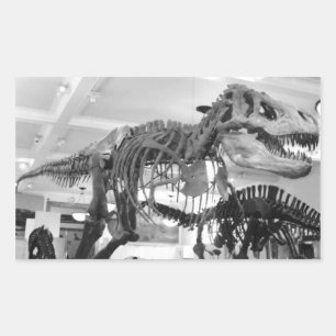 T-Rex Skeletpotlood Rechthoekige Sticker