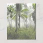 T-Rex Tyrannosaurus Rex Dinosaur Birthday Budget (Achterkant)