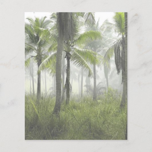 T-Rex Tyrannosaurus Rex Dinosaur Birthday Budget (Achterkant)