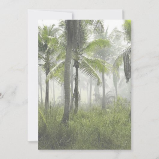 T-Rex Tyrannosaurus Rex Dinosaur Birthday Invite Kaart (Achterkant)